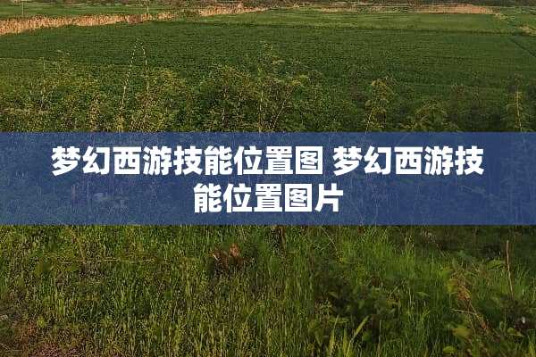 梦幻西游技能位置图 梦幻西游技能位置图片