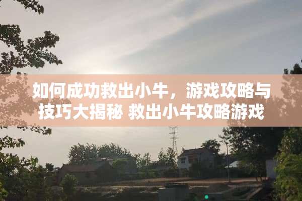 如何成功救出小牛，游戏攻略与技巧大揭秘 救出小牛攻略游戏