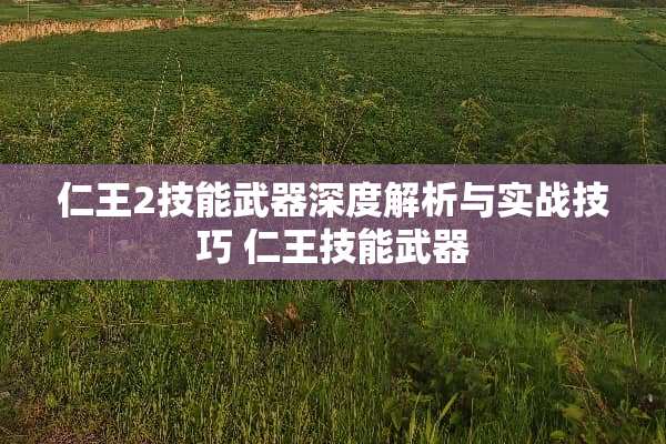 仁王2技能**深度解析与实战技巧 仁王技能**