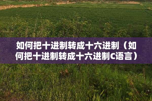如何把十进制转成十六进制（如何把十进制转成十六进制C语言）