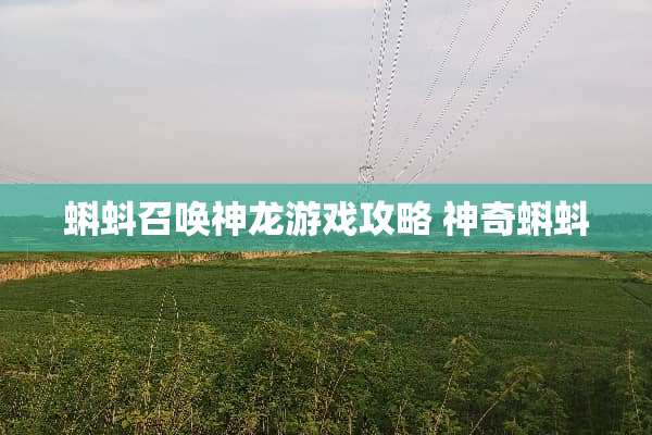 蝌蚪召唤神龙游戏攻略 神奇蝌蚪