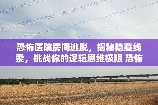 恐怖医院房间逃脱，揭秘隐藏线索，挑战你的逻辑思维极限 恐怖医院房间游戏攻略
