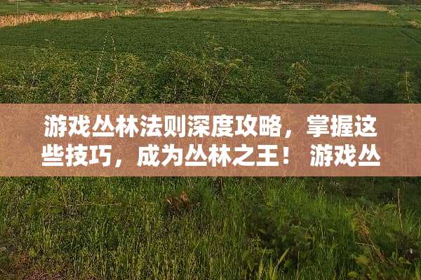 游戏丛林法则深度攻略，掌握这些技巧，成为丛林之王！ 游戏丛林法则攻略