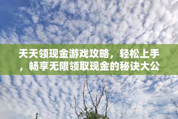 天天领现金游戏攻略，轻松上手，畅享无限领取现金的秘诀大公开！ 天天领现金游戏攻略