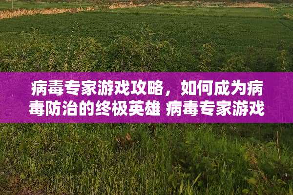 **专家游戏攻略，如何成为**防治的终极英雄**专家游戏攻略