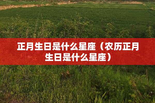 正月生日是什么星座（农历正月生日是什么星座）