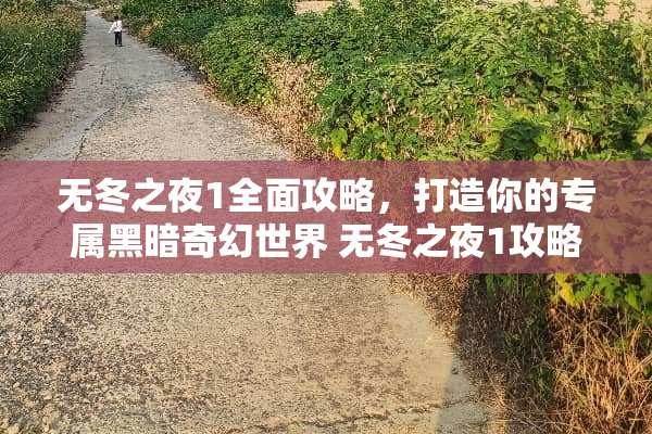 无冬之夜1全面攻略，打造你的专属黑暗奇幻世界 无冬之夜1攻略
