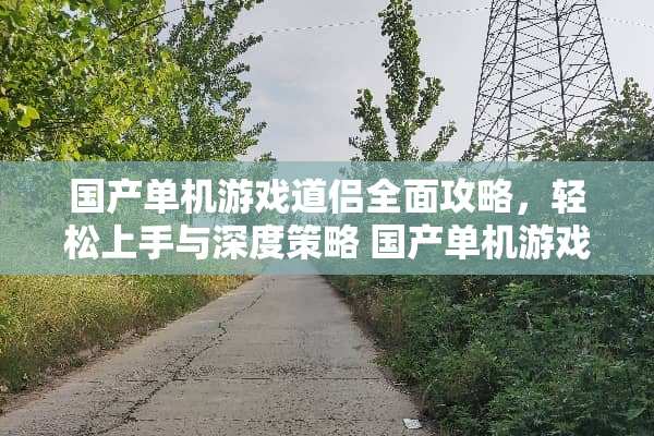 国产单机游戏道侣全面攻略，轻松上手与深度策略 国产单机游戏道侣攻略