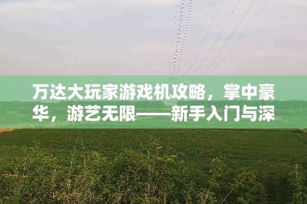 万达大玩家游戏机攻略，掌中豪华，游艺无限——新手入门与深度攻略 万达大玩家游戏机攻略