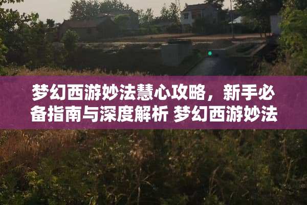 梦幻西游妙法慧心攻略，新手必备指南与深度解析 梦幻西游妙法慧心攻略