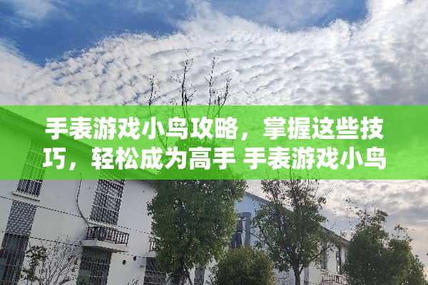 手表游戏小鸟攻略，掌握这些技巧，轻松成为高手 手表游戏小鸟攻略