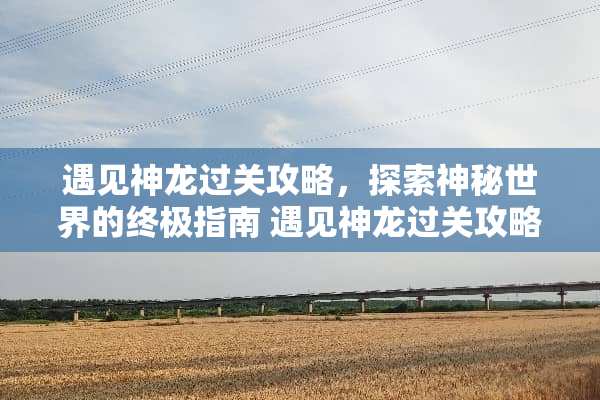 遇见神龙过关攻略，探索神秘世界的终极指南 遇见神龙过关攻略游戏