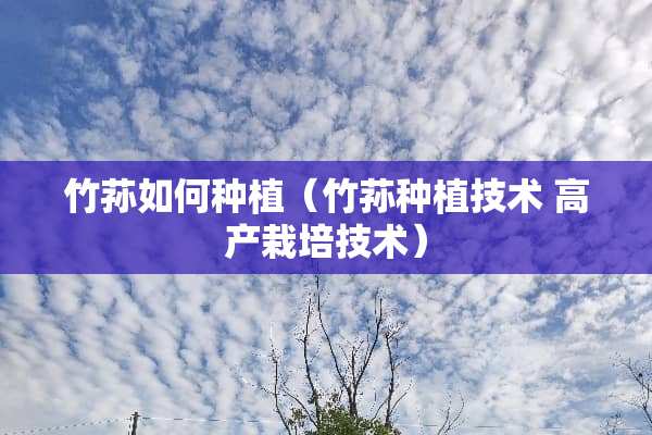 竹荪如何种植（竹荪种植技术 高产栽培技术）