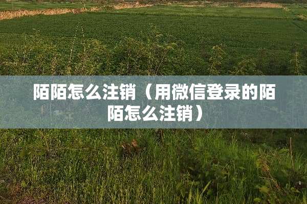 陌陌怎么注销（用微信登录的陌陌怎么注销）