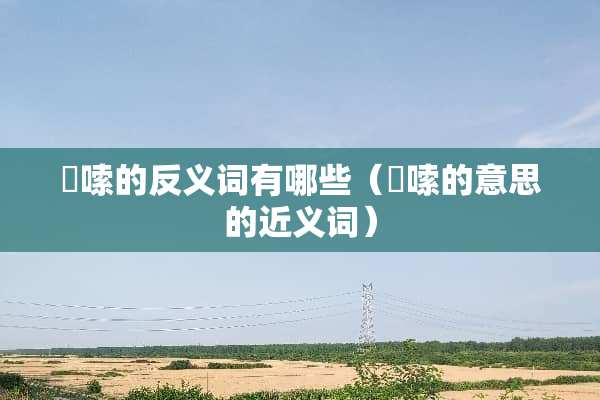 啰嗦的反义词有哪些（啰嗦的意思的近义词）