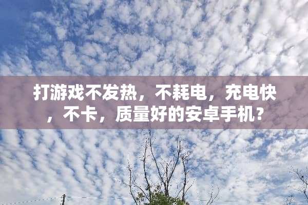 打游戏不发热，不耗电，充电快，不卡，质量好的安卓手机？