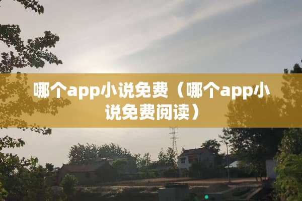 哪个app小说免费（哪个app小说免费阅读）