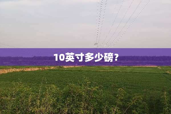 10英寸多少磅？