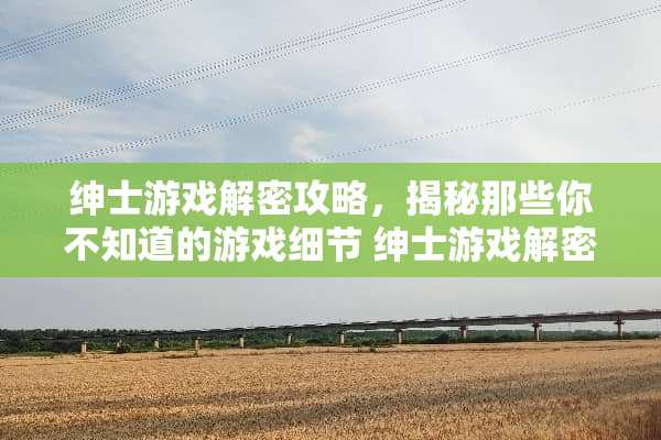 绅士游戏解密攻略，揭秘那些你不知道的游戏细节 绅士游戏解密攻略