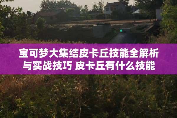 宝可梦大集结皮卡丘技能全解析与实战技巧 皮卡丘有什么技能