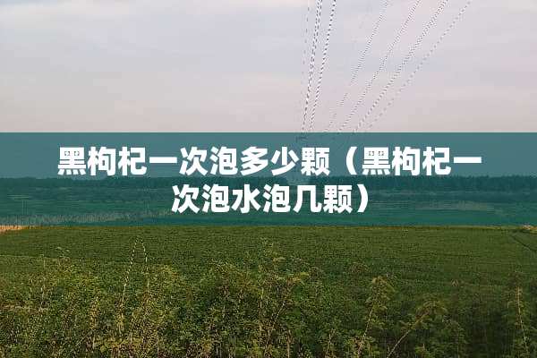 黑枸杞一次泡多少颗（黑枸杞一次泡水泡几颗）
