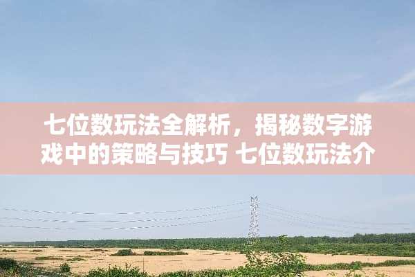 七位数玩法全解析，揭秘数字游戏中的策略与技巧 七位数玩法介绍