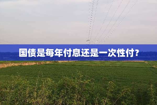国债是每年付息还是一次性付？