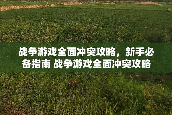 战争游戏全面冲突攻略，新手必备指南 战争游戏全面冲突攻略