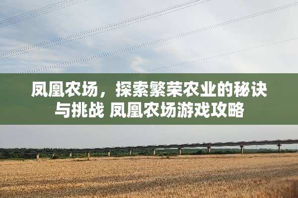 凤凰农场，探索繁荣农业的秘诀与挑战 凤凰农场游戏攻略