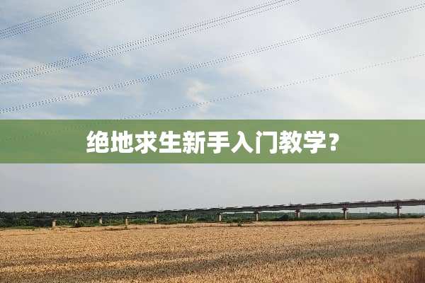绝地求生新手入门教学？