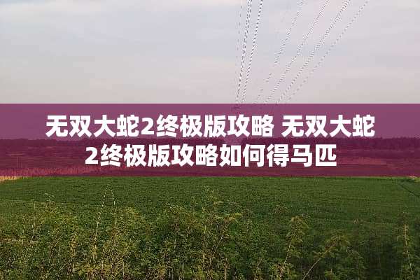 无双大蛇2终极版攻略 无双大蛇2终极版攻略如何得马匹