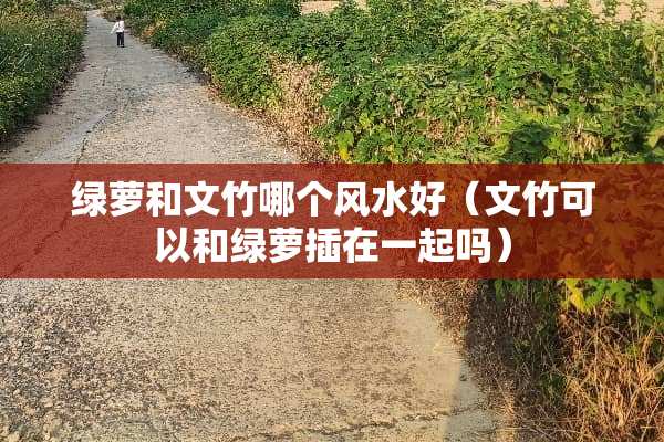 绿萝和文竹哪个风水好（文竹可以和绿萝插在一起吗）