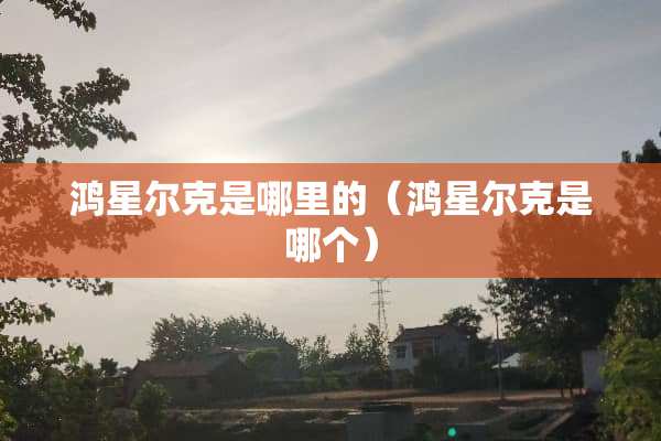 鸿星尔克是哪里的（鸿星尔克是哪个）