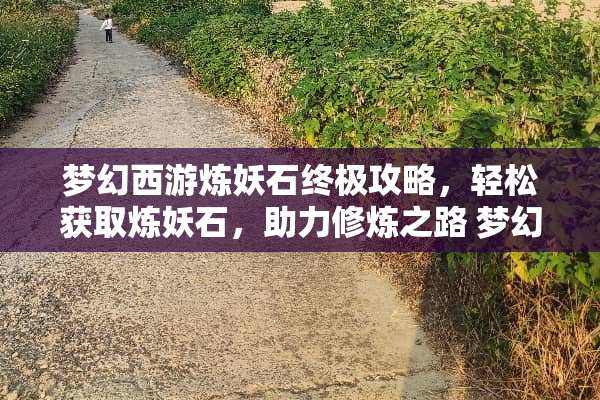 梦幻西游炼妖石终极攻略，轻松获取炼妖石，助力**之路 梦幻西游炼妖石攻略