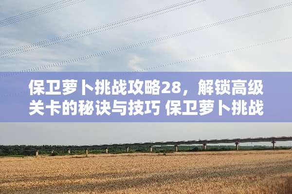 保卫萝卜挑战攻略28，解锁高级关卡的秘诀与技巧 保卫萝卜挑战攻略28