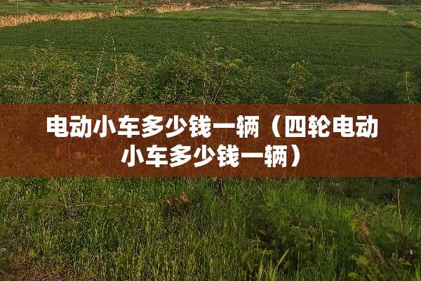 电动小车多少钱一辆（四轮电动小车多少钱一辆）