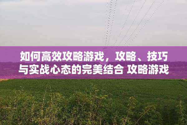 如何高效攻略游戏，攻略、技巧与实战心态的完美结合 攻略游戏的意思是