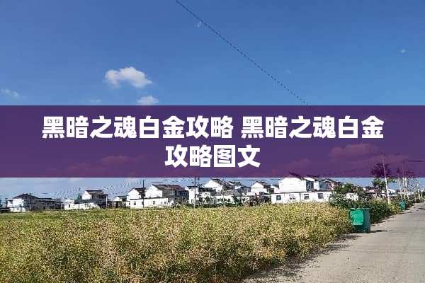 黑暗之魂白金攻略 黑暗之魂白金攻略图文