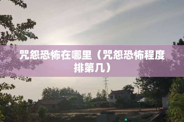 咒怨恐怖在哪里（咒怨恐怖程度排第几）