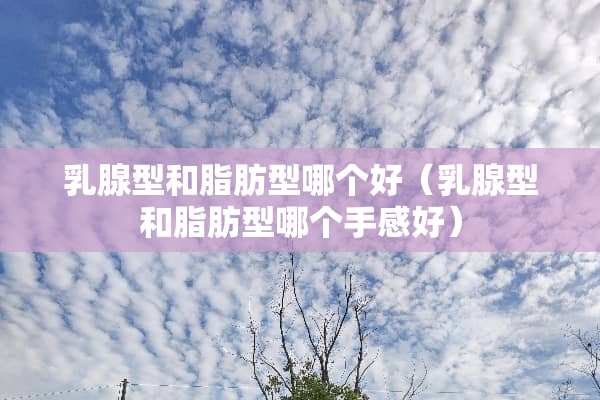 *腺型和脂肪型哪个好（*腺型和脂肪型哪个手感好）