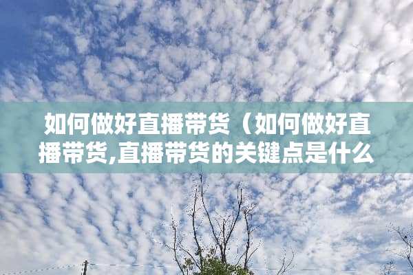 如何做好直播带货（如何做好直播带货,直播带货的关键点是什么）