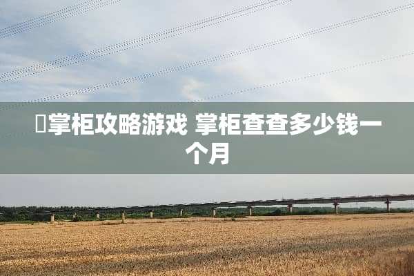査掌柜攻略游戏 掌柜查查多少钱一个月