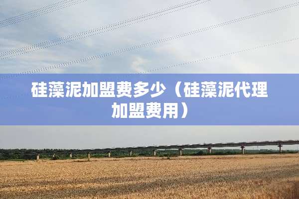 硅藻泥加盟费多少（硅藻泥代理加盟费用）