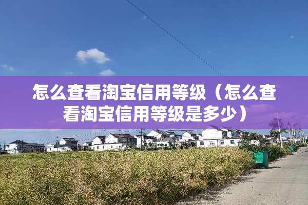 怎么查看淘宝信用等级（怎么查看淘宝信用等级是多少）