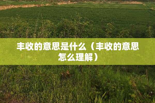 丰收的意思是什么（丰收的意思怎么理解）