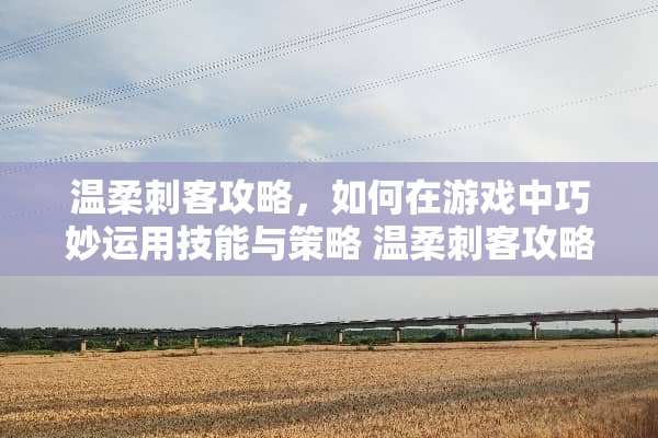 温柔刺客攻略，如何在游戏中巧妙运用技能与策略 温柔刺客攻略游戏
