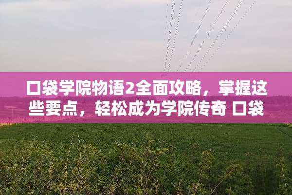 口袋学院物语2全面攻略，掌握这些要点，轻松成为学院传奇 口袋学院物语2攻略