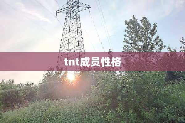 tnt成员性格