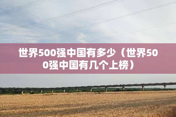 世界500强中国有多少（世界500强中国有几个上榜）