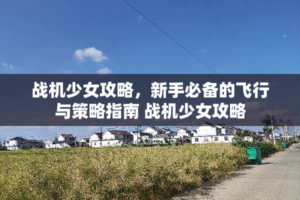 战机少女攻略，新手必备的飞行与策略指南 战机少女攻略